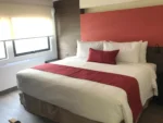 Suite Cama extragrande MC Suites Mexico City