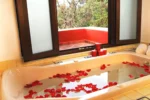 Suite Junior Executive con Hidromasaje Hotel Hacienda San Martin Toluca